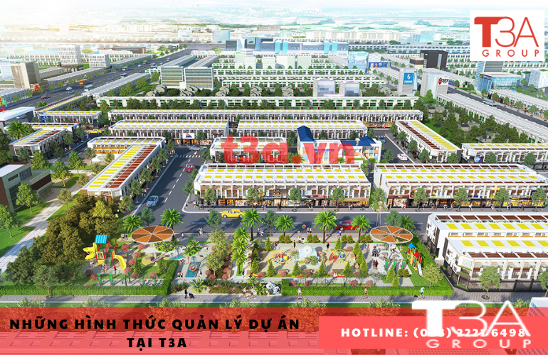 Những hình thức quản lý dự án được sử dụng phổ biến tại T3A Group